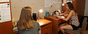 Students studying in their dorm room